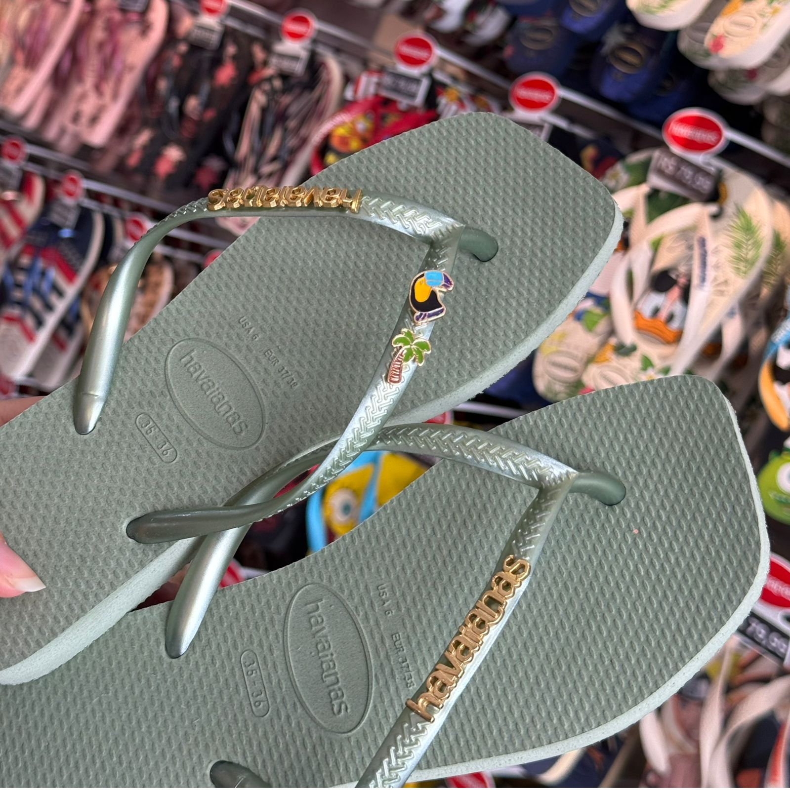 Havaianas Slim Square + Placa Logo + Pin Tucano e Coqueiro