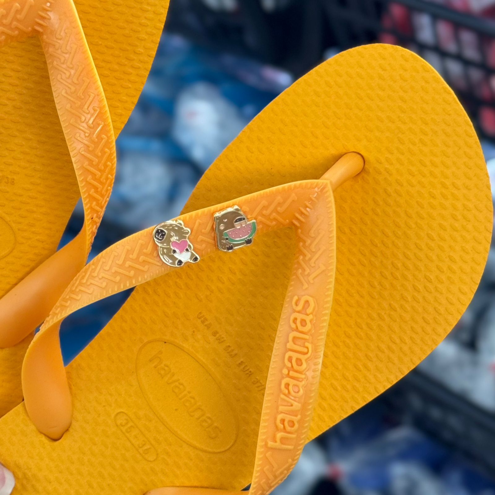 Havaianas Top + Pins Capivara