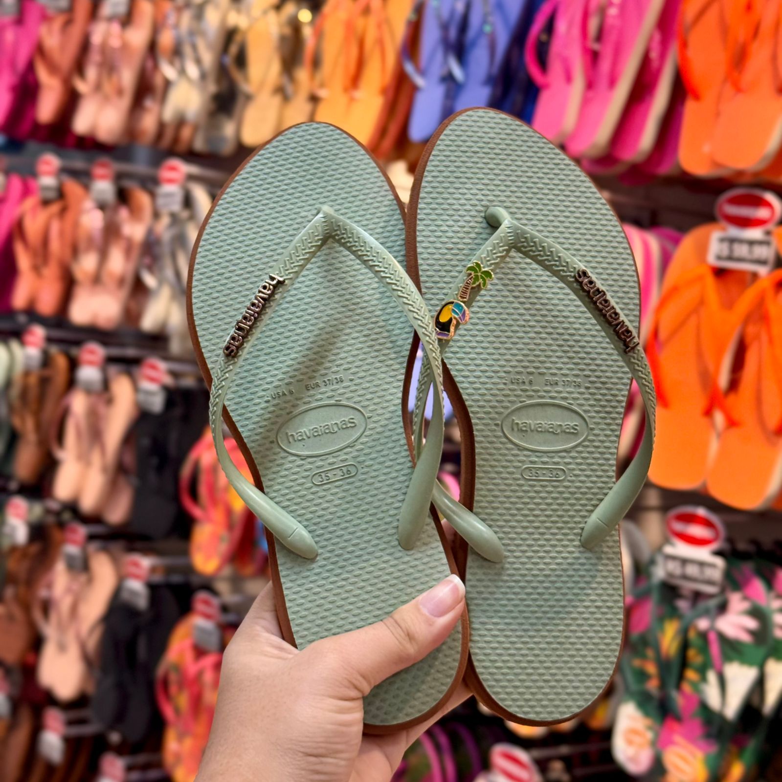 Havaianas Slim Point + Pin Tucano e Coqueiro