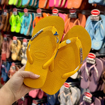 Havaianas Top + Placa Logo + Pin Golfinho, Sereia e Concha