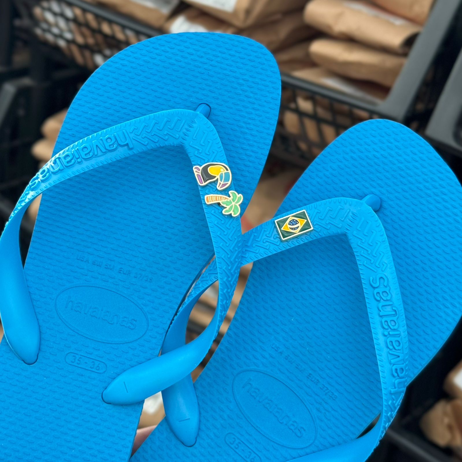 Havaianas Top + Pin Tucano, Coqueiro e Brasil