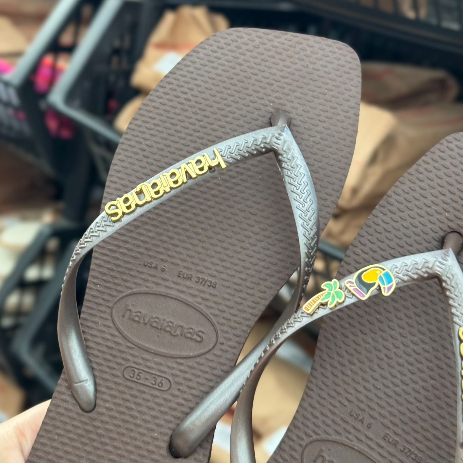Havaianas Slim Square + Placa Logo + Pin Tucano e Coqueiro
