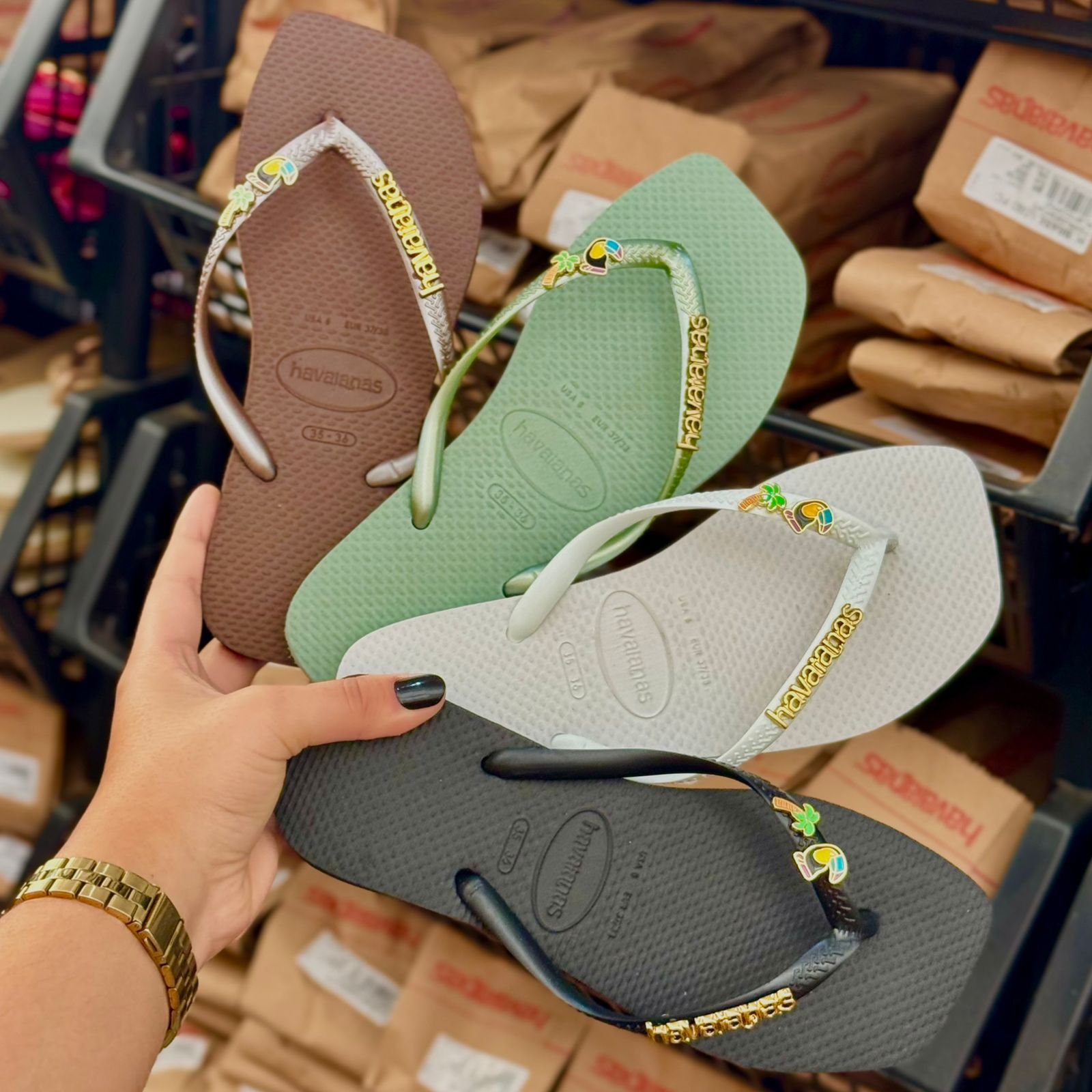 Havaianas Slim Square + Placa Logo + Pin Tucano e Coqueiro