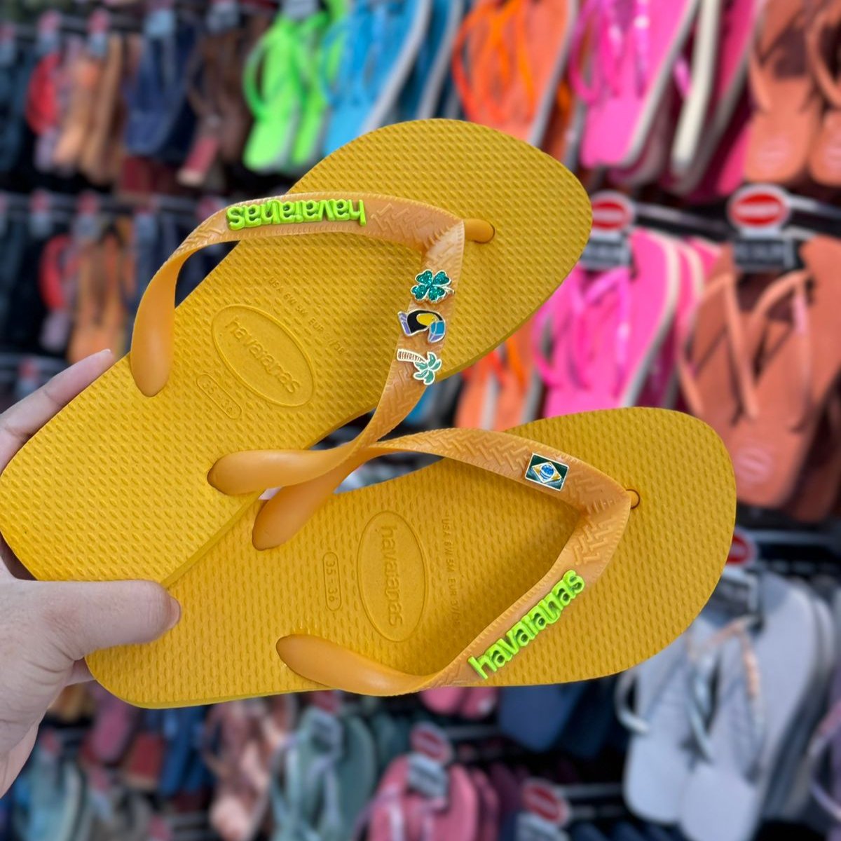 Havaianas Top + Placa Logo + Pingente Trevo, Tucano, Coqueiro e Brasil
