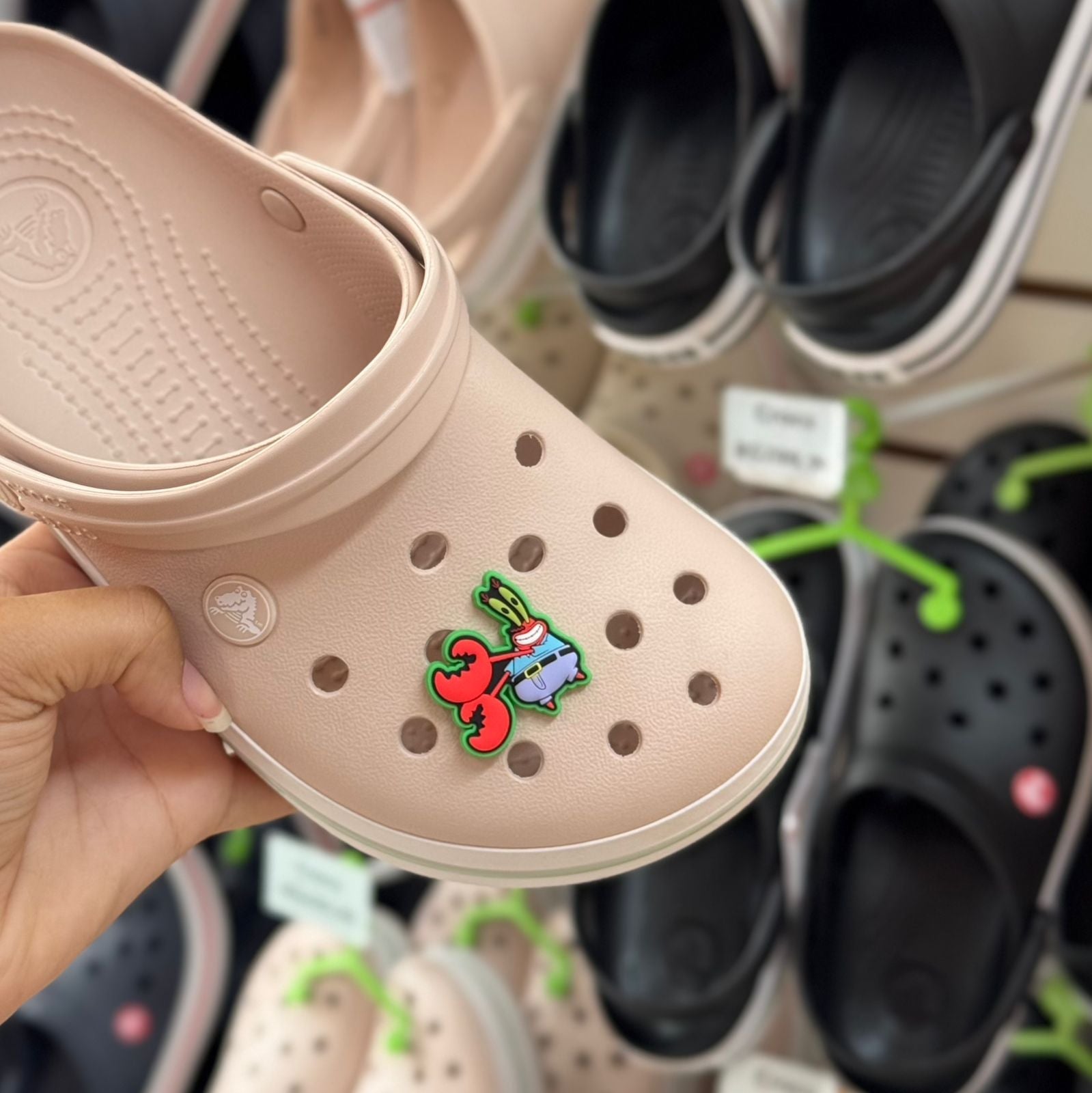 Jibbitz Seu Seriguejo Personagem