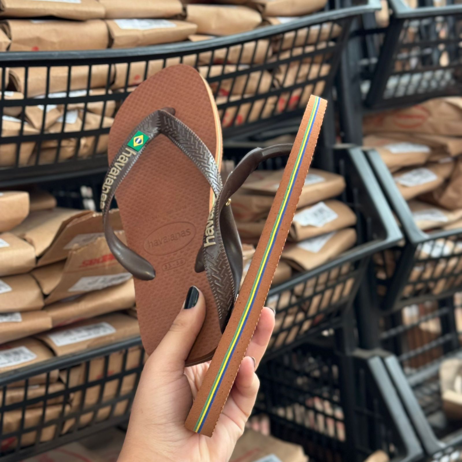 Havaianas Brasil Logo + Pin Tucano e Coqueiro