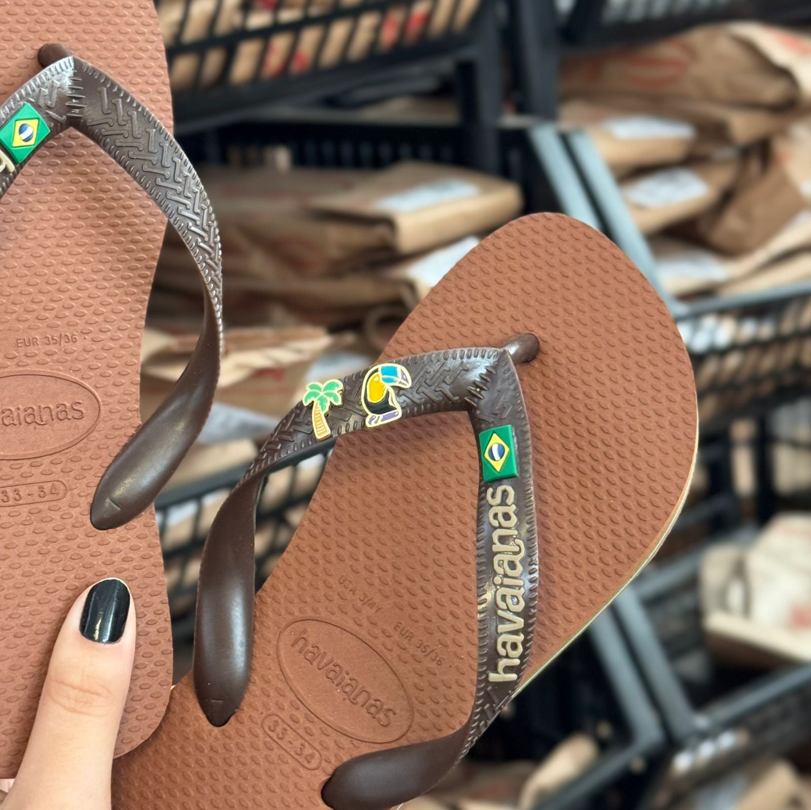 Havaianas Brasil Logo + Pin Tucano e Coqueiro