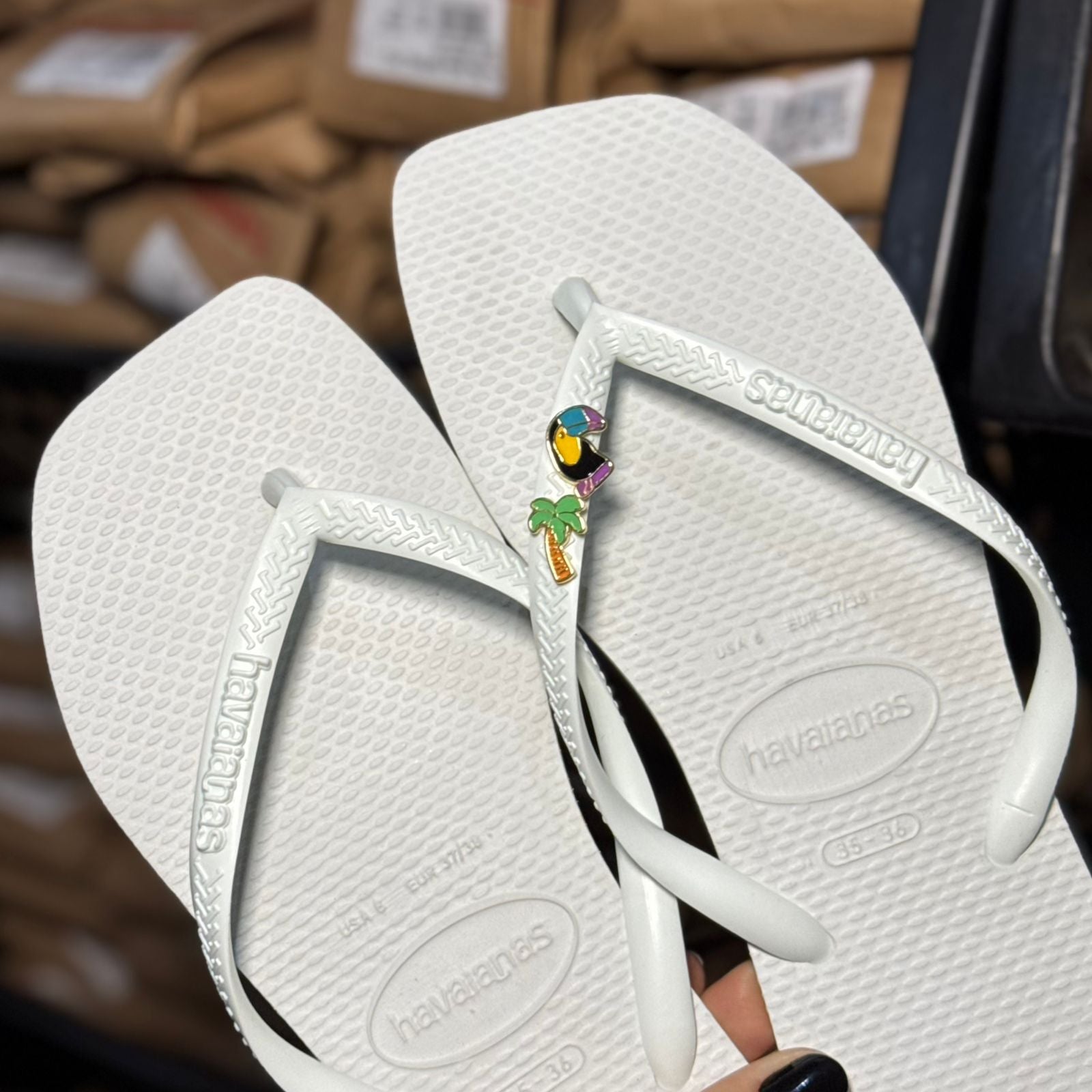 Havaianas Slim Square Logo Pop + Pin Tucano e Coqueiro