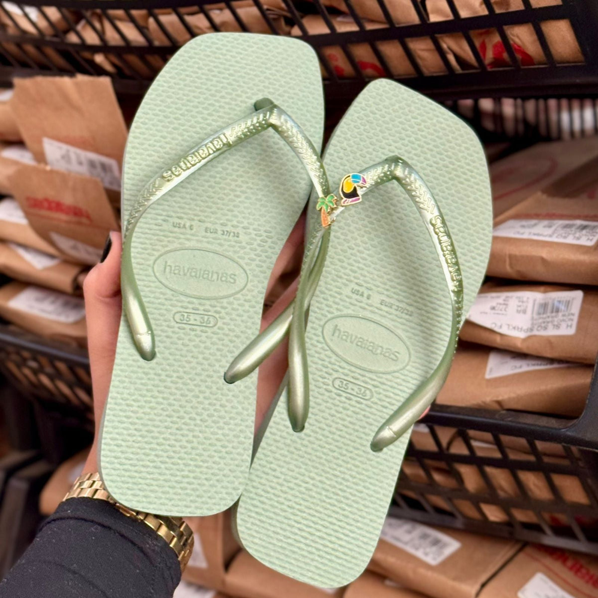 Havaianas Slim Square Logo Pop + Pin Tucano e Coqueiro