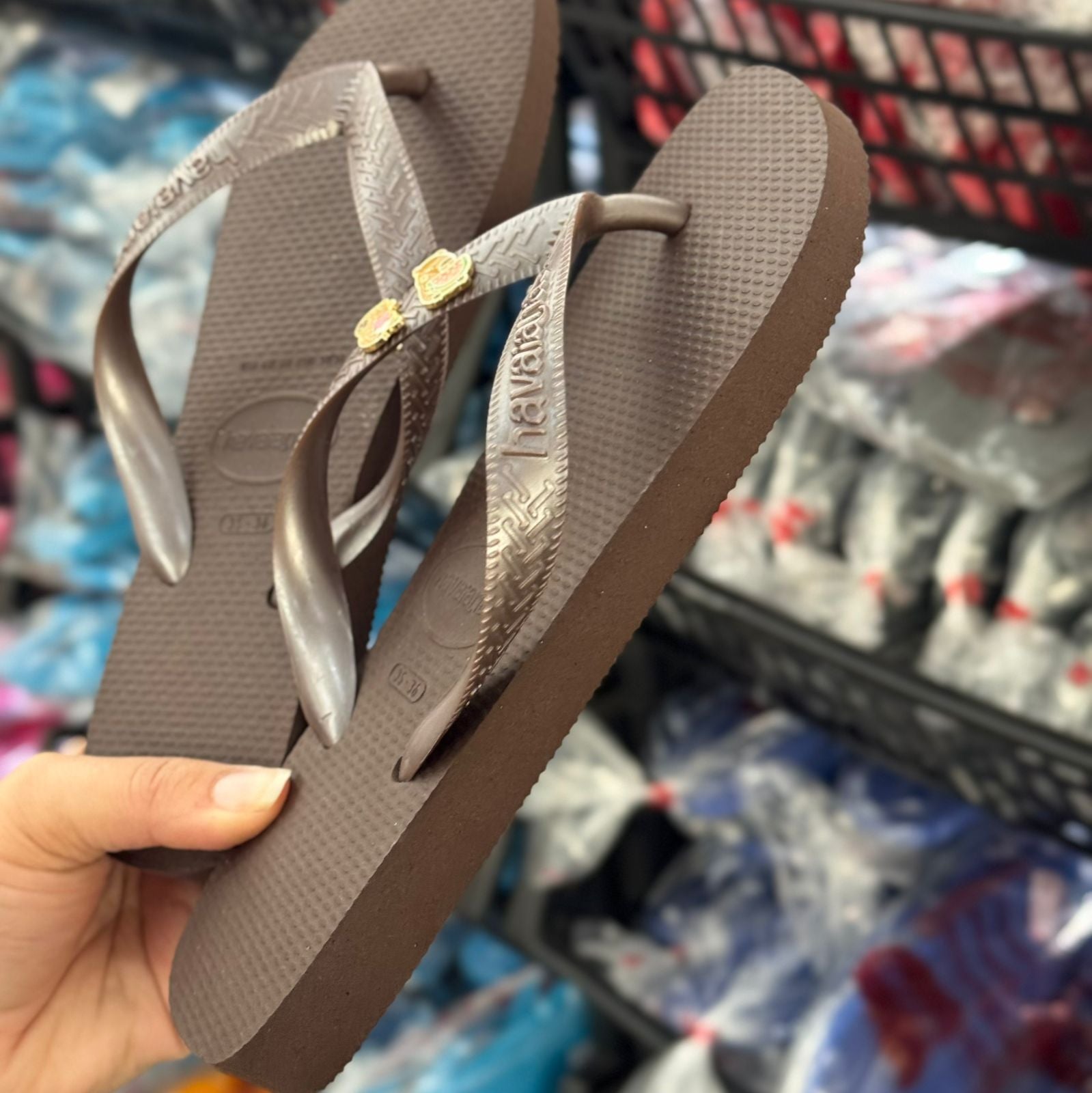 Havaianas Top + Pins Capivara