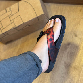 Sandália Melissa Cozy Thong 37742